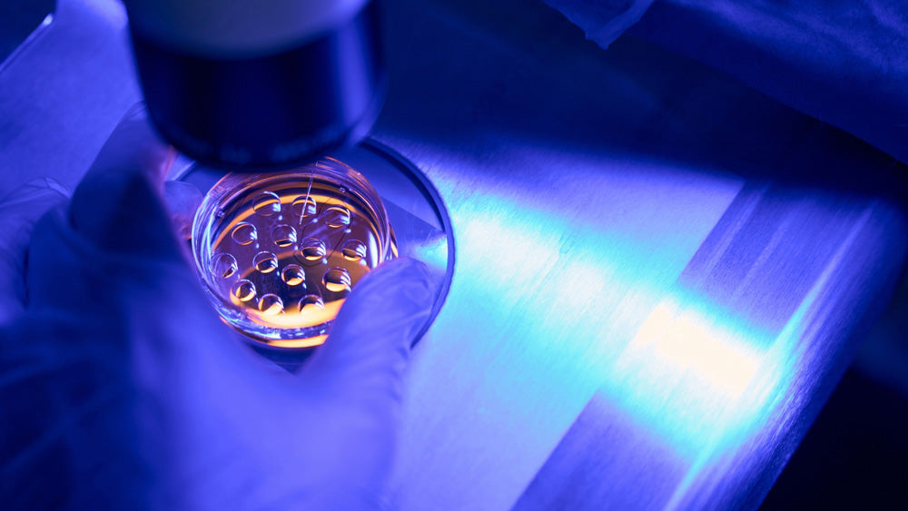 Cytoplasm Focused Natural Inhibitors of Viral Replication