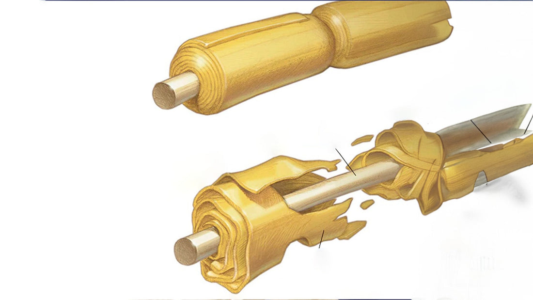 Conventional Treatment Approaches for Guillain-Barré Syndrome and Cerebral Venous Sinus Thrombosis