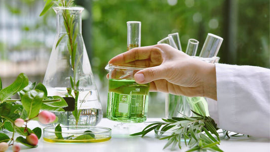 Herbal Extracts for Healing Specific Organs