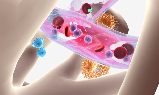 Similarities on a Cellular Level between SARS-CoV-2 and Other Viruses (EBV, HHV-6, CMV, Parvovirus B19, Enteroviruses)