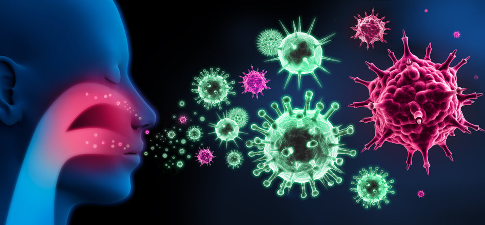 What effect does diet have on our immune system?